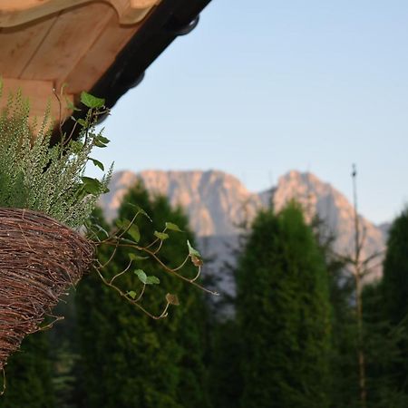 Fiedorowka Villa Zakopane Eksteriør billede