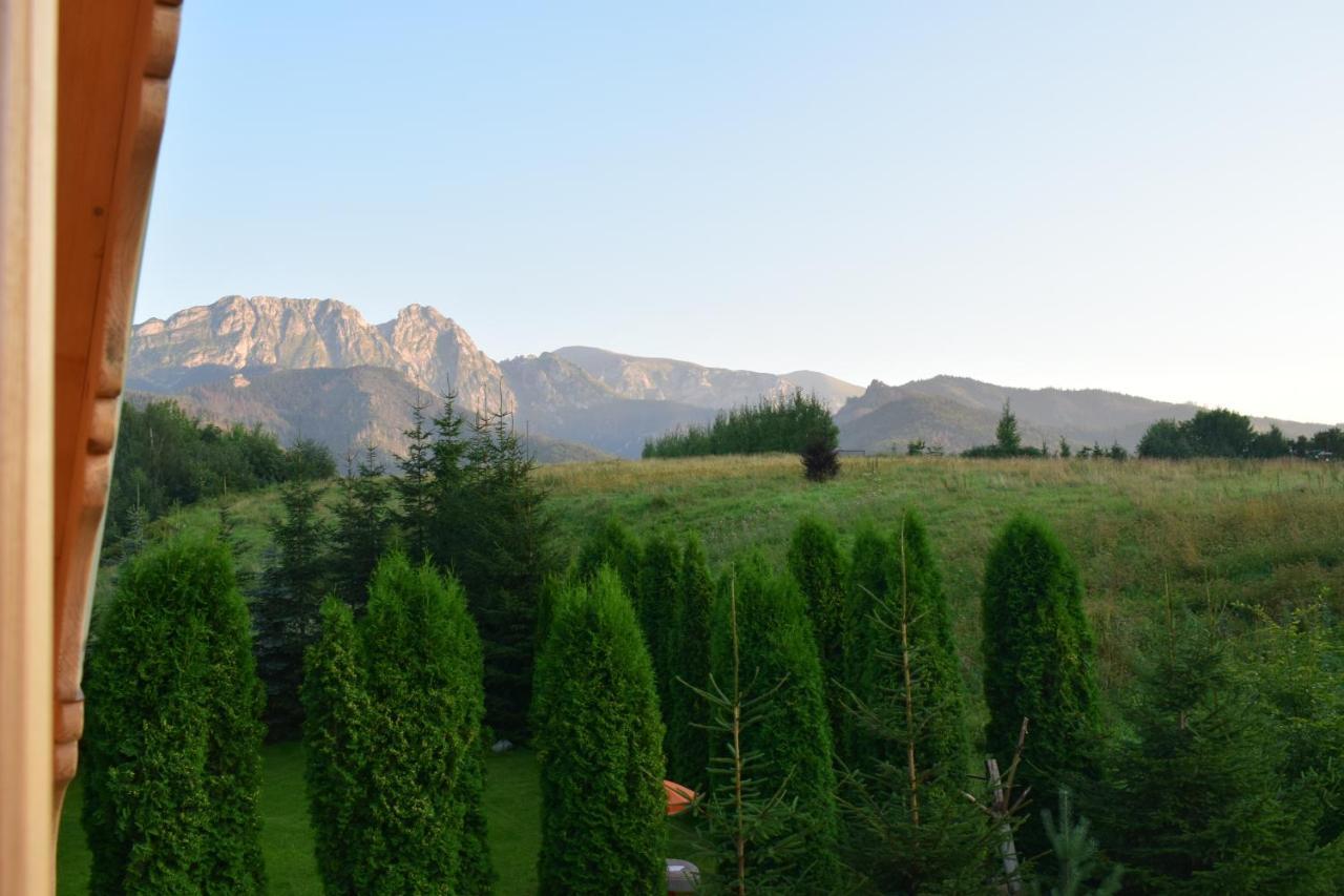 Fiedorowka Villa Zakopane Eksteriør billede