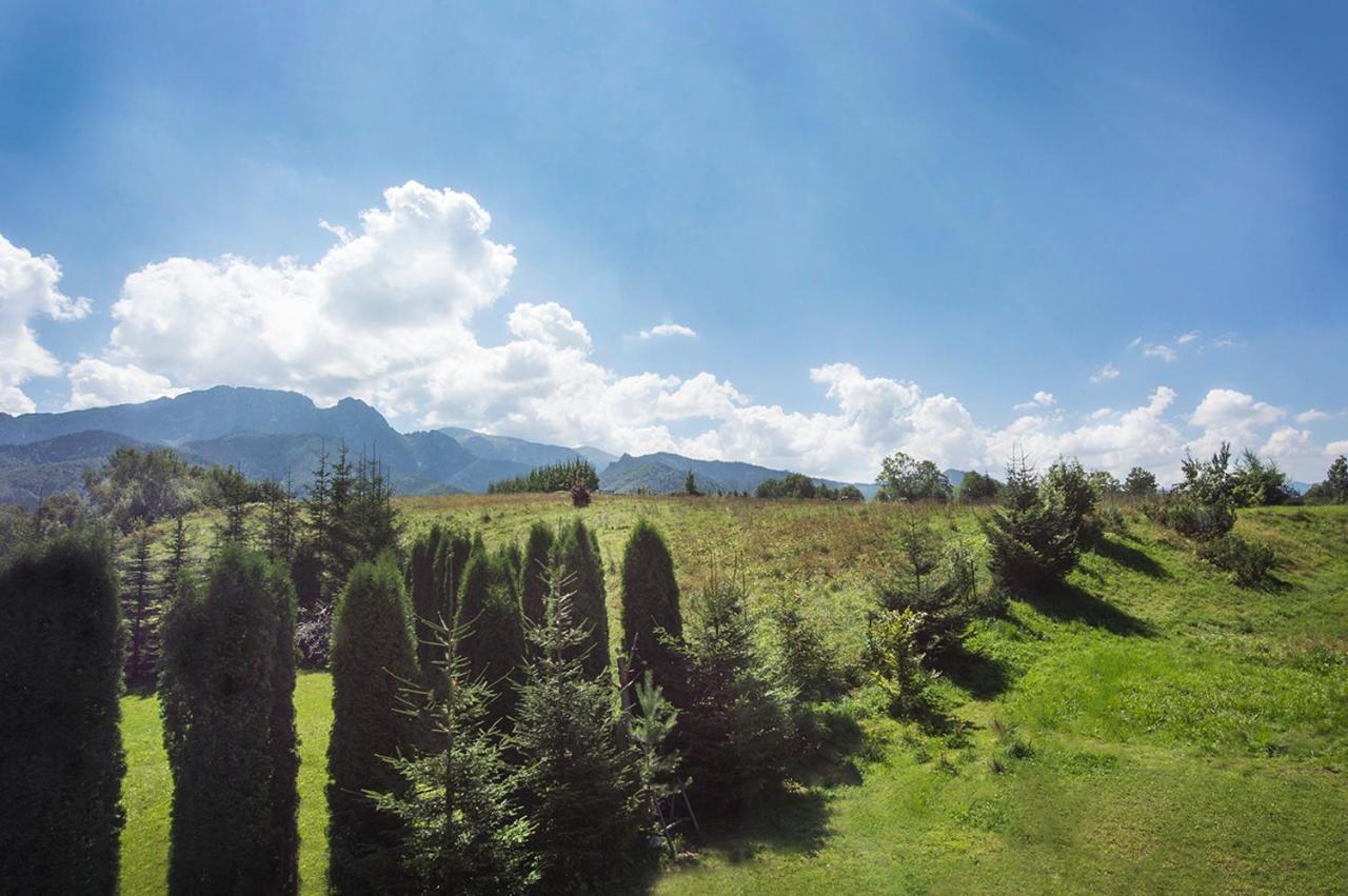 Fiedorowka Villa Zakopane Eksteriør billede